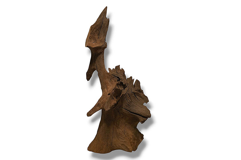 Mangrove / Aquariumwurzel 60 x 19 x 28cm - Einzelstück