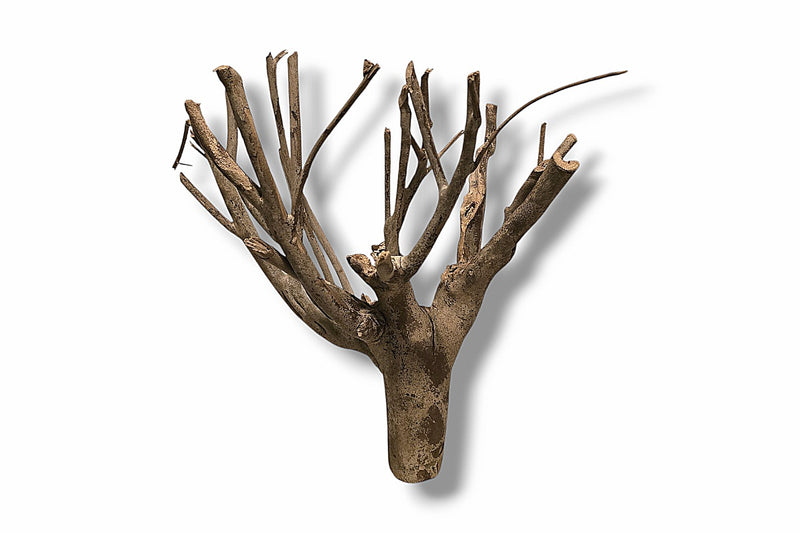 Talawa Wood / Talawaholz / Talawawurzel ca. 38 x 27 x 43cm - Einzelstück!