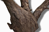 Corbo-Root  / Aquariumwurzel 42 x 22 x 25cm - Unikat