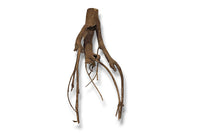 Talawa Wood / Talawaholz / Talawawurzel ca. 58 x 17 x 28cm - Einzelstück!