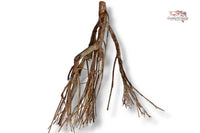 Talawaholz-Talawa-Wood-online-kaufen-direkt-bestellen-Aquariumholz-Aquariumwurzel-Talawa-Wood-aquadeco-Naturdeko-natürliche-Einrichtung- Diskus-Diskusbecken-Diskusaquarium