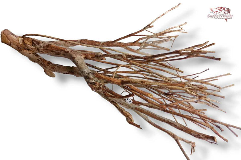 Talawaholz-Talawa-Wood-online-kaufen-direkt-bestellen-Aquariumholz-Aquariumwurzel-Talawa-Wood-aquadeco-Naturdeko-natürliche-Einrichtung- Diskus-Diskusbecken-Diskusaquarium
