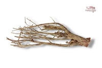 Talawaholz-Talawa-Wood-online-kaufen-direkt-bestellen-Aquariumholz-Aquariumwurzel-Talawa-Wood-aquadeco-Naturdeko-natürliche-Einrichtung- Diskus-Diskusbecken-Diskusaquarium-Biotop-Einrichtung-Skalare-Altum