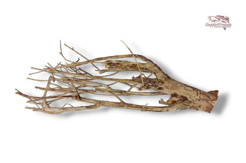 Talawaholz-Talawa-Wood-online-kaufen-direkt-bestellen-Aquariumholz-Aquariumwurzel-Talawa-Wood-aquadeco-Naturdeko-natürliche-Einrichtung- Diskus-Diskusbecken-Diskusaquarium-Biotop-Einrichtung-Skalare-Altum