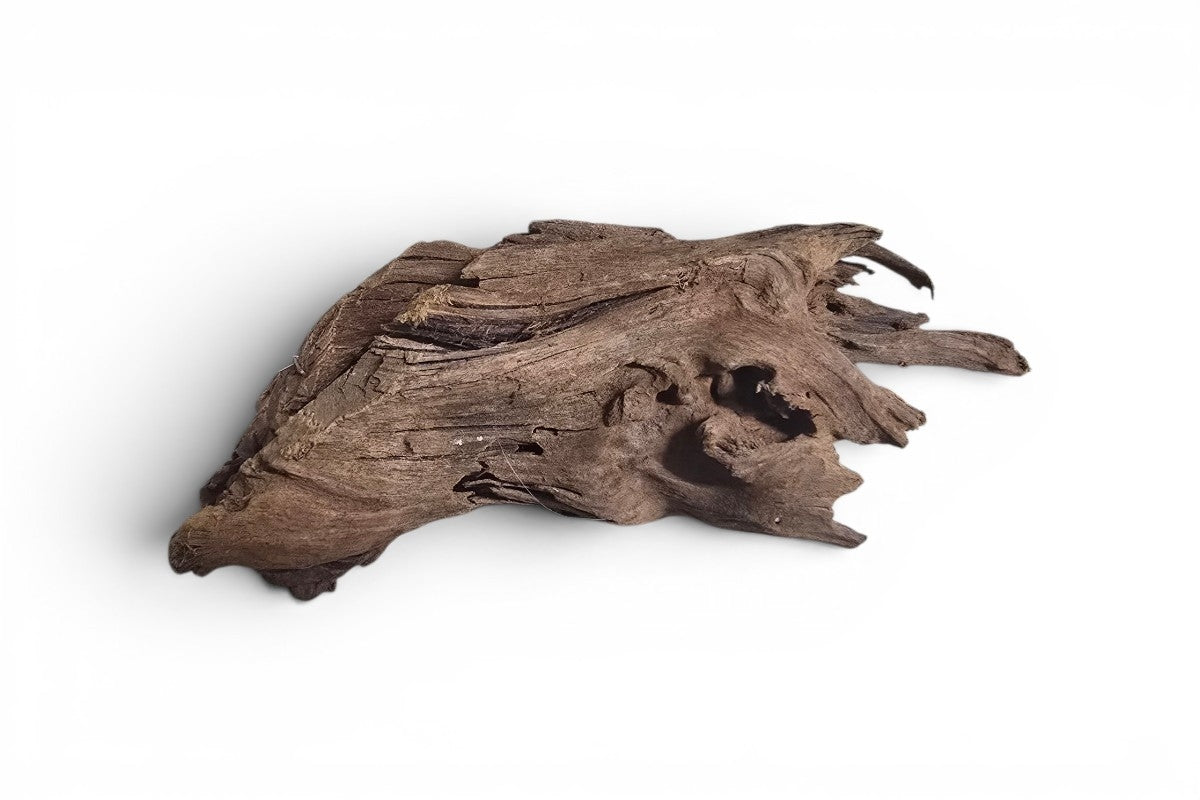 Jungle Wood / Yati-Holz Gr. S (ca. 15-23cm) / massive Holzstücke