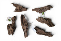 Jungle Wood / Yati-Holz Gr. S (ca. 15-23cm) / massive Holzstücke