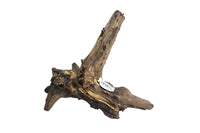 Corbo-Stump  / Aquariumwurzel 42 x 28 x 36cm - Unikat