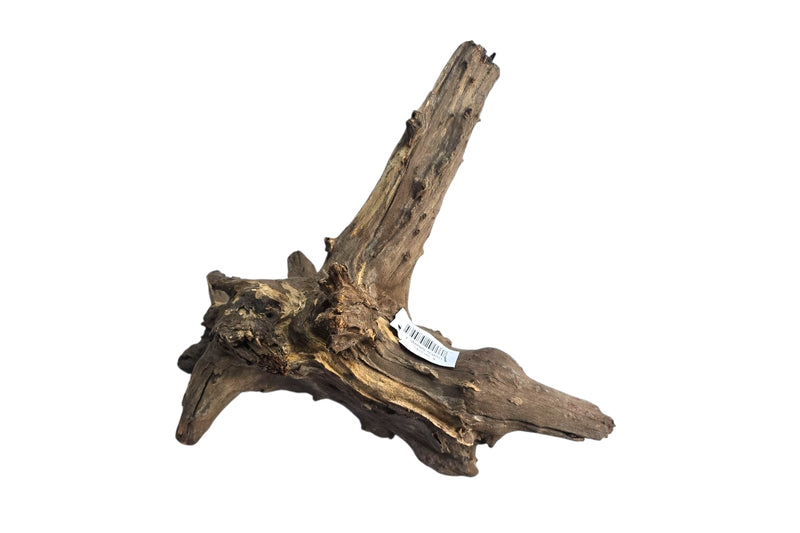 Corbo-Stump  / Aquariumwurzel 42 x 28 x 36cm - Unikat