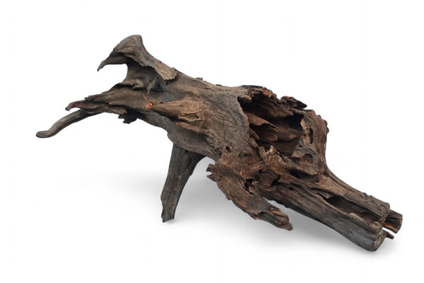 (Kopie) Corbo-Stump  / Aquariumwurzel 50 x 28 x 30cm - Unikat