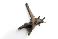 Corbo-Stump  / Aquariumwurzel 42 x 28 x 36cm - Unikat