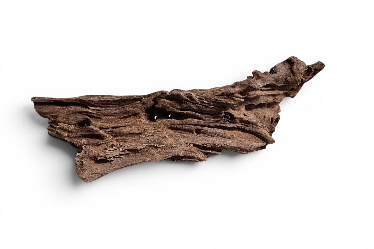 Jungle Wood / Yati-Holz Gr. M (ca. 23-35cm) / massive Holzstücke