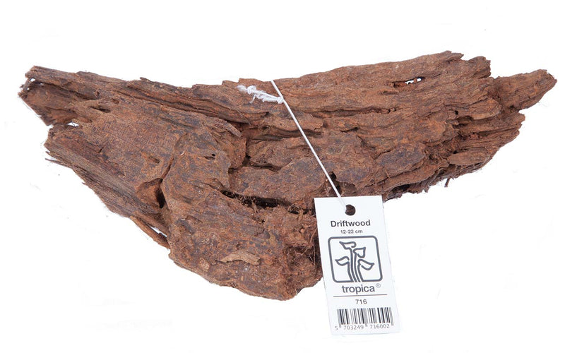 Driftwood. Flussholz. Treibholz für Aquarien. Ideal für Aufsitzerpflanzen wie Anubias, Bucephalandra, Javafarn. Ungewässertes Aquariumholz. Driftwood gibt wichtige Huminstoffe und Lignine an das Wasser ab. Natürliche Habitate weisen eine hohe Konzentration an Huminstoffen auf. Welse benötigen Lignine, die sie über das Holz aufnehmen. 