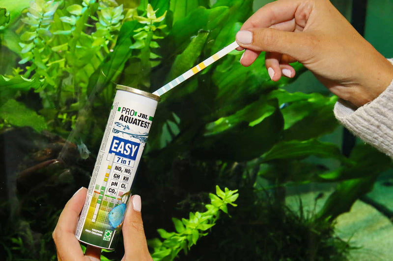 JBL-Pro-Aquatest-Easy-7in1-50Stück-Teststreifen-Brunnenwasser-Aquariumwasser-Leitungswasser-Teichwasser-Quellwasser