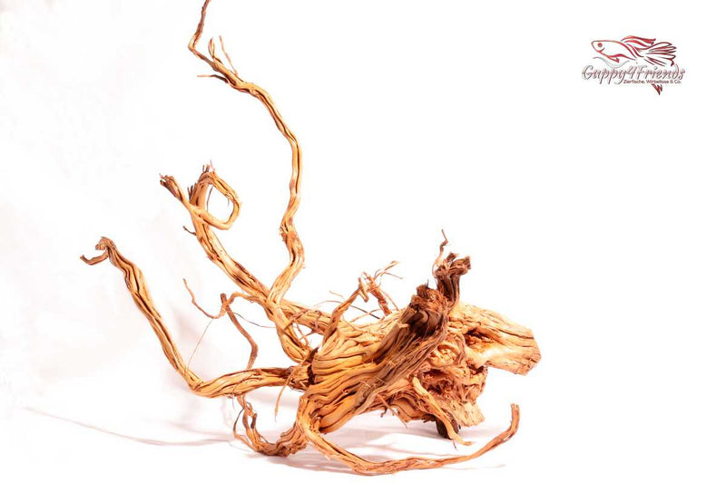 Curl-Wood-Schlangenholz-Aquascaping-Wood-Scapingholz-Layout