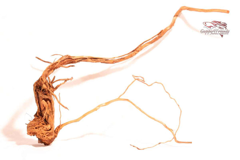 Schlangenholz-Drachenholz-Lockenholz-Aquariumholz-Aquariumwurzel-Dekoholz-Naturdeko-Curlwood-vorwässern-filigranes-Holz