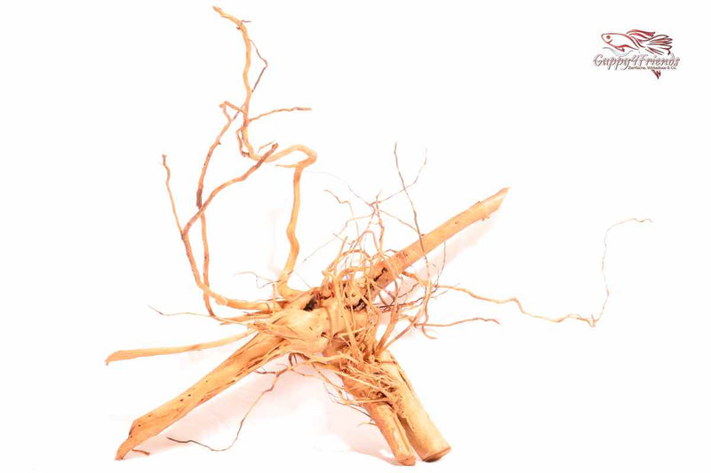 Curlwood-Curl-Wood-Curly-Wood-Curly-Holz-Aquariumwurzeln-Aquariumholz-einrichtung-Deko-Naturdeko-Natureinrichtung