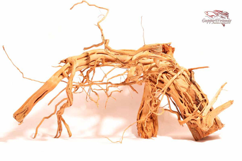 Curlwood-luxus-Wurzel-Wurzeldurchgang-Fische-Schutz-Aquariumeinrichtung-Bakterienrasen-Biofilm-Scapingholz-Scapingwood-XL-Aquariumwurzel