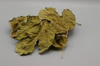 Feigenblätter sind unter den Zwerggarnelen ein sehr geschätzter ballaststoffreicher Snack.  Diese Blätter wirken durch ihre wertvollen Gerbsäuren und Cumarine pilzhemmend und antibiotisch.