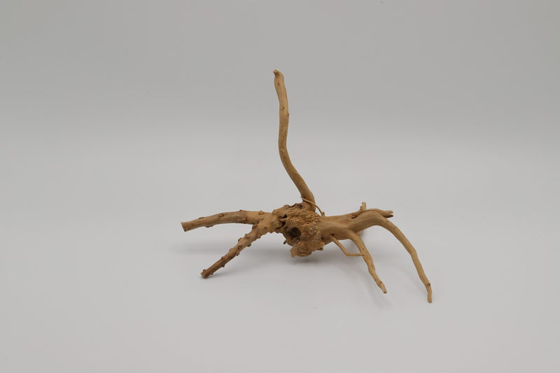 Spiderwood Aquarium. Einrichtung Nano-Cubes. 30er Cube. 10er Cube. 20er Cube. Garneleneinrichtung.