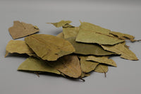 Cocoa Leafes - Kakaoblätter antibakteriell und pilzhemmend durch Antioxidantien und Huminsäure. Natürlicher Wasseraufbereiter für dein Aquarium. 