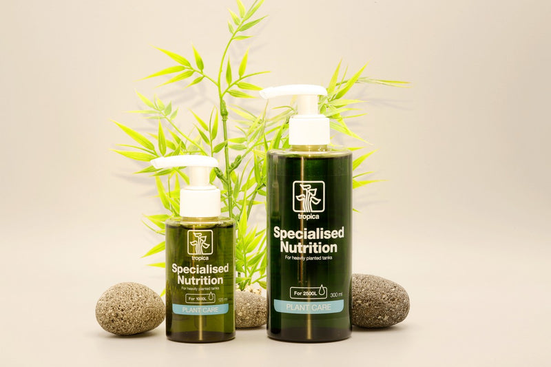 Tropica specialised nutrition. Er enthält Stickstoff (N), Phosphor (P), und auch Eisen, Magnesium und wichtige Mikronährstoffe. Für Aquascaping Becken. Aquascaping Dünger. Dünger Scaping Becken. Dünger für Aquascing Becken. 