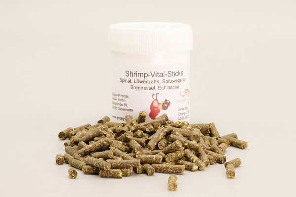 Garnelensticks Futtersticks Vital-Sticks. Spinat Löwenzahn Spitzwegerich Brennnessel Echinacea. Wachstumsförderung bei Babygarnelen. Garnelenzucht. Aufzucht Zwerggarnelen. Aufzuchtfutter Garnelen. 